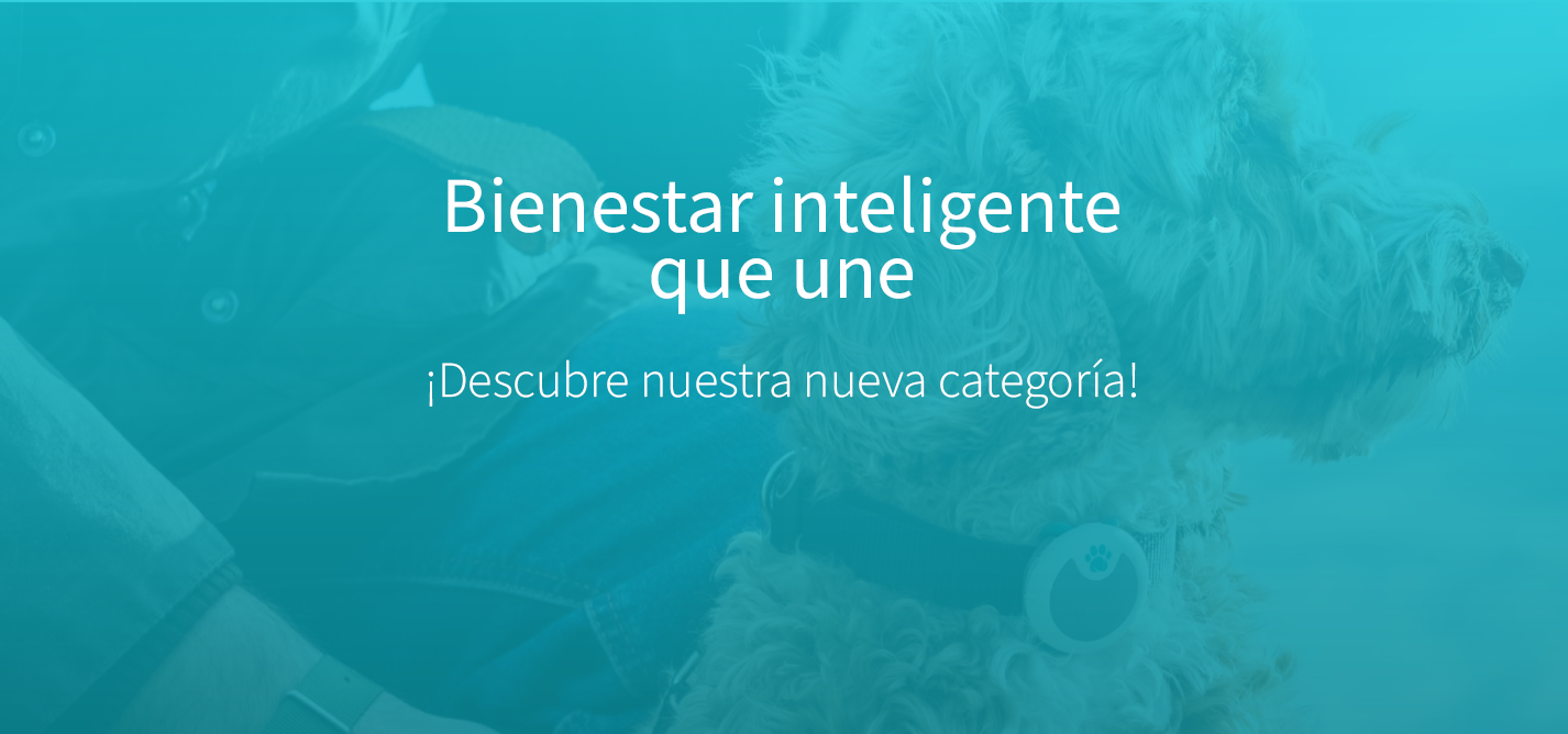 Bienestar Inteligente