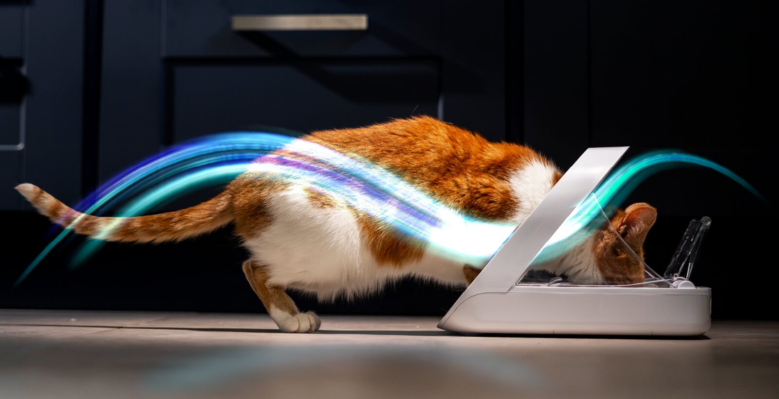 Pet Feeder Connect