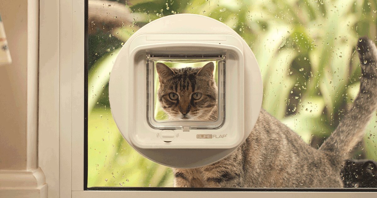 EN_dualscan_microchip_cat_flap