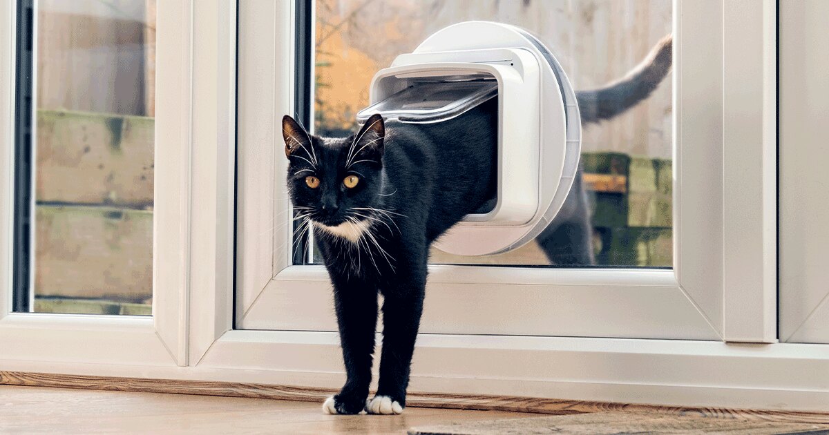 Microchip Cat Flap Connect