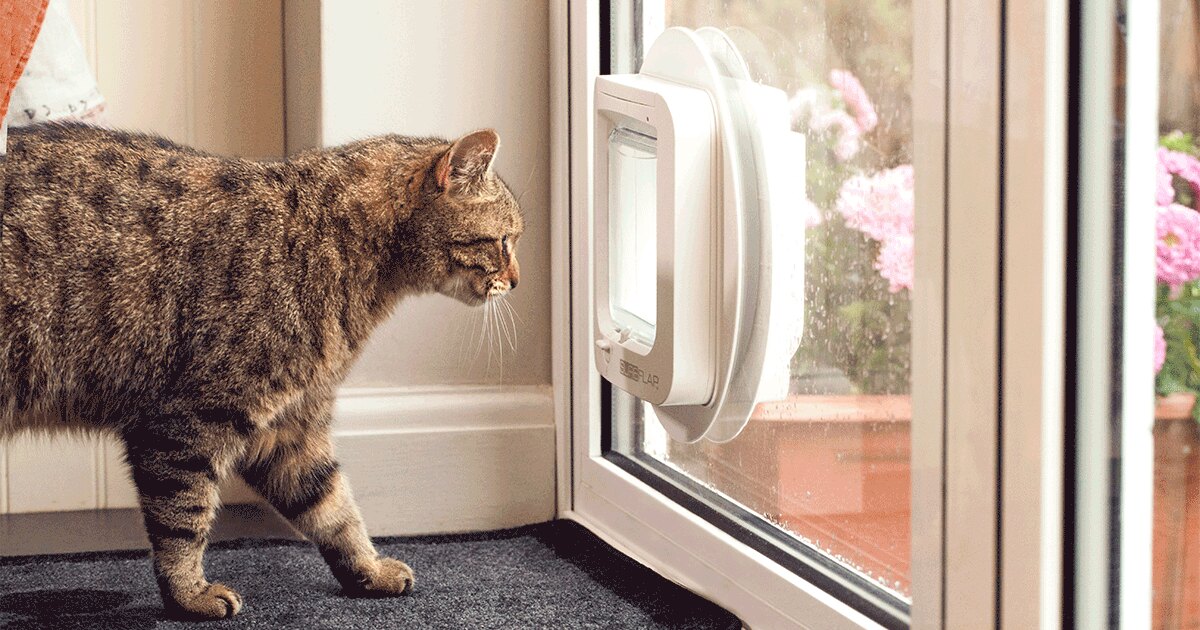 EN_microchip_cat_flap_og.jpg