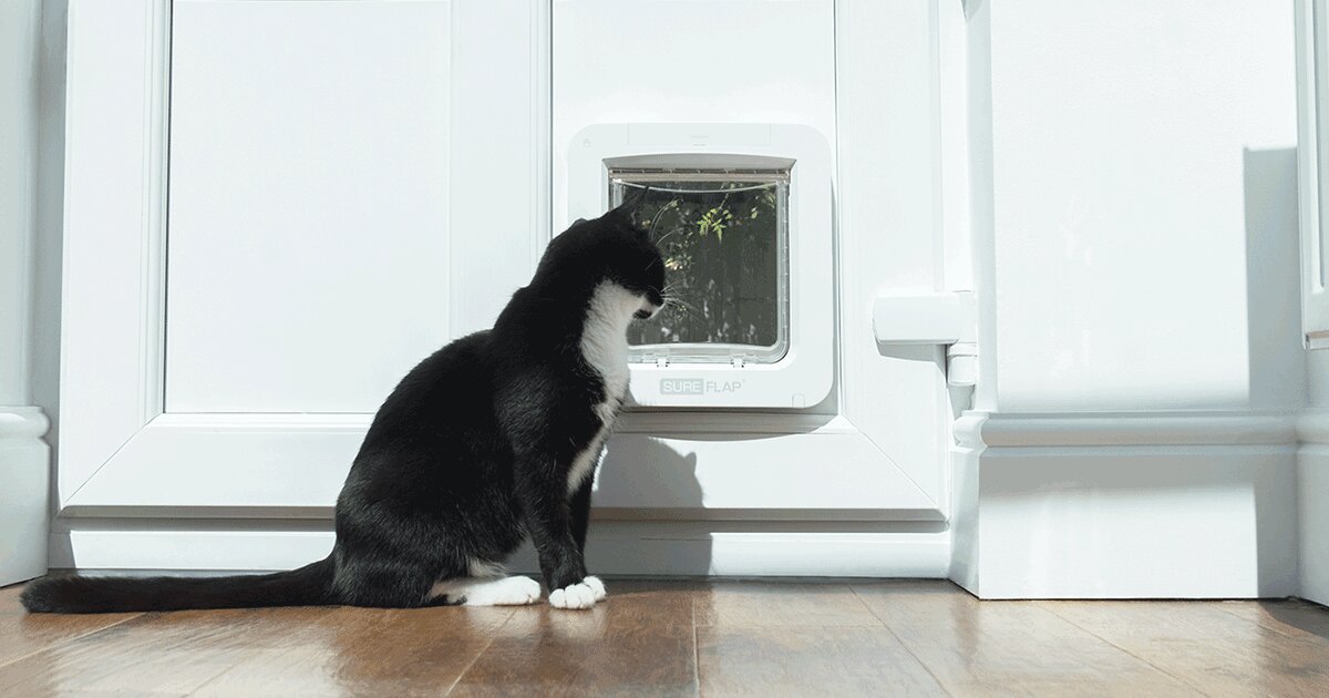 The SureFlap Microchip Pet Door Connect from Sure Petcare