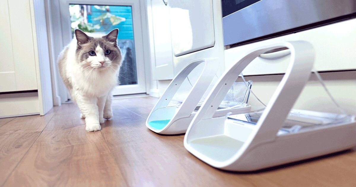 Pet Feeding Solutions